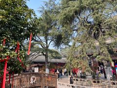 -灵岩山风景区