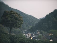 -龙井村