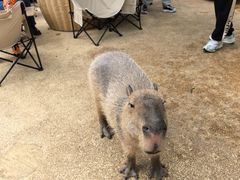 -正佳雨林生态植物园