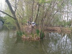 景点-焦山风景区