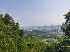 -八卦田遗址公园