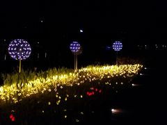 -怡海公园(桂城街道)