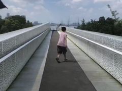 -艾溪湖湿地公园