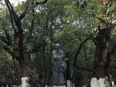 -八大山人梅湖景区