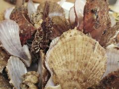 -北方饺子王·海肠捞饭·海鲜锅(山大店)