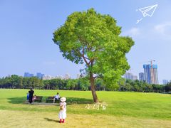 -山明水秀大饭店