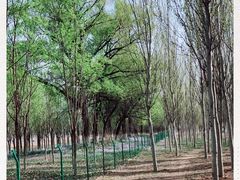 -东郊湿地公园
