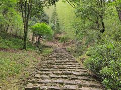-仙霞关景区