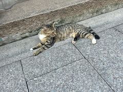 -龙华寺