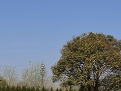 -汉长安城未央宫国家考古遗址公园