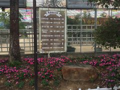 -广东花都香草世界旅游度假区