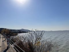 -美味之家·湖景农家乐(太湖东山店)