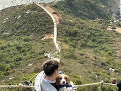 -西涌国际滨海旅游区