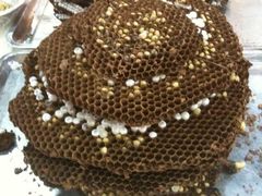 iphone_upload_pic-渔民新村(番禺总店)