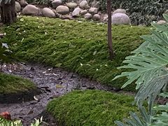 -成都市活水公园