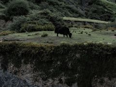 -墨石公园景区