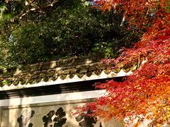 -虎跑公园