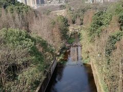 -重庆彩云湖湿地公园
