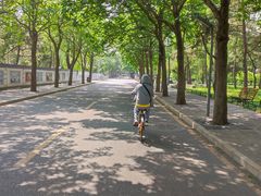 -清华大学-观畴园餐厅