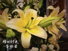 -雕刻时光咖啡馆(北师大店)
