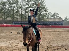 -北京群众马术培训基地