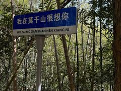 -莫干山风景区
