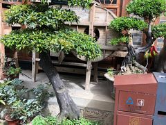 -南津关古镇