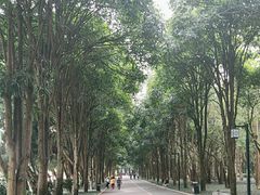 -南宁南湖公园