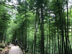 -藏龙百瀑风景区