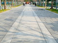 -龙华素斋(龙华路店)