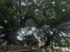 -云水谣景区