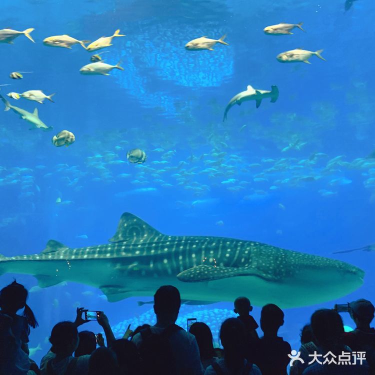 是有故事情节的烟火表演