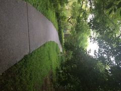 iphone_upload_pic-中国科学技术馆影院