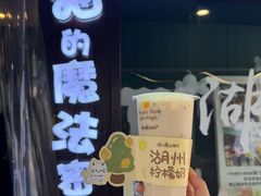 -猫的魔法密林(衣裳街店)