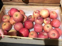 -AdD全日制餐厅(中谷花园酒店)