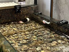 -海鲜e族(马王堆店)