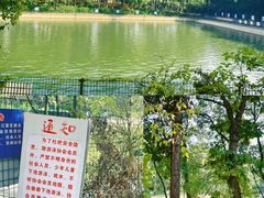 -青龙山国家森林公园