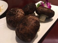 蘑菇包-中国坊中餐厅(石家庄希尔顿酒店)