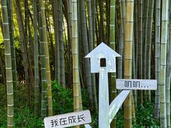 -苏州河梦清园环保主题公园