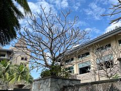 -海南清水湾莱佛士酒店