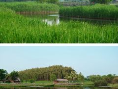 -良渚古城遗址公园