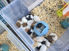 -天安数码城会所游泳馆