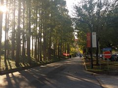 -上海财经大学(国定路校区)