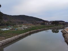 -上海佘山国家森林公园天马山园