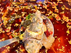 -胖子鱼·天水麻辣鱼火锅(秦州407店)