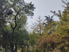 -莲湖公园