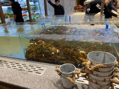水产区-半岛听涛蒸汽海鲜自助(K11店)