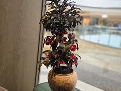 -江南厨子·品苏杭(深圳万象城店)