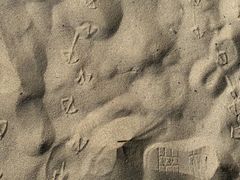 -海云台海滩