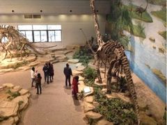 -自贡恐龙博物馆